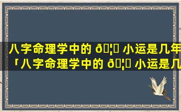 八字命理学中的 🦟 小运是几年「八字命理学中的 🦍 小运是几年几月几日」